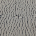 Traces dans le sable, Perros Guirec