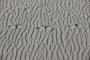 Traces dans le sable, Perros Guirec