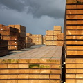 Stocks de bois sur le port